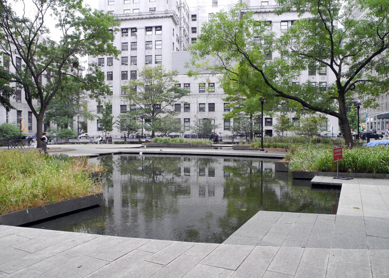 Collect Pond